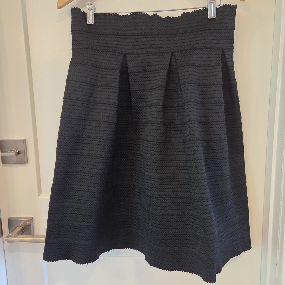 Black A-Line Pleated Women's Skirt
